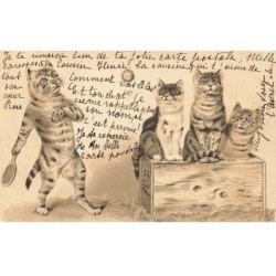 CHATS -MK43612 QUATRES CHATS JEUX RAQUETTE BALLE