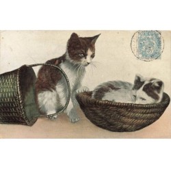 CHATS -MK44938 DEUX CHATS PANIERS