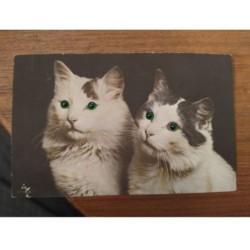 CHAT CAT -FG49220 DUO CARTE A SYSTEME AJOUTIS YEUX PERLES