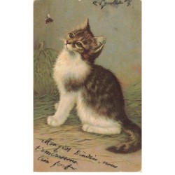 CHATS -MK46777 CHAT ET UN INSECTE VOLANT