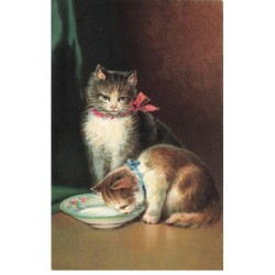CHATS -MK43609 DEUX CHATS RUBAN BLEU ET ROUGE QUI BOIT DANS UNE ASSIETTE
