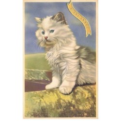 CHATS AG-MK847 BONNE ANNEE CHAT BLANC A POILS AUX YEUX BLEU