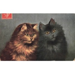 CHATS AG-MK068 DEUX CHATS MARRON ET NOIR AUX YEUX JAUNE