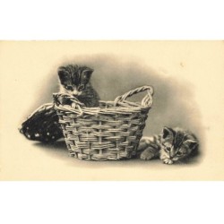 CHATS -MK40081 UN CHAT ALLONGE ET UN CHAT DANS UN PANIER