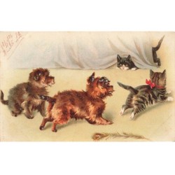 CHATS -MK46764 DEUX CHATS ET DEUX CHIENS
