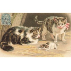 CHATS -MK40139 DEUX CHATS ET UN CHATON