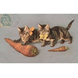 CHATS -MK43613 DEUX CHATS NOEUD PAPILLONS ORANGE ET JAUNE CAROTTES GEANTES