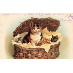 CHATS -MK40138 CHATTE ET SES CHATONS DANS UN PANIER