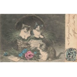 CHATS -MK46765 CHATS PANIER FLEURS