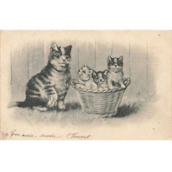 CHATS AI-DC942 CHAT ET CHATONS DANS UNE CORBEILLE