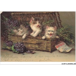 AS-BFP1-0035 - Animaux - Chats dans un panier