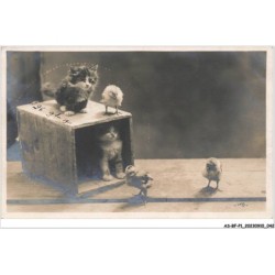 AS-BFP1-0022 - Animaux - Chat - Chats et poussins