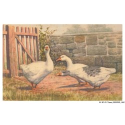 BY-BFP2-1017-OISEAU - TROIS CANARDS