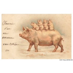 BK-BFP1-0478-ANIMAUX - Mere cochon et ses petits