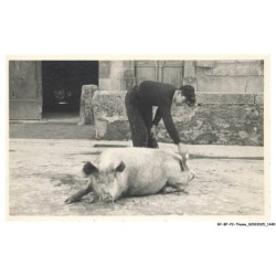 BY-BFP2-1006-COCHON - UN COCHON ET UN JEUNE HOMME