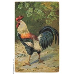 BY-BFP2-1019-OISEAU - UN COQ