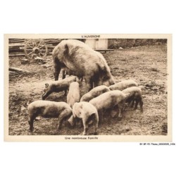 BY-BFP2-1004-COCHON - L'AUVERGNE - UNE NOMBREUSE FAMILLE