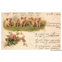 BK-BFP1-0479-ANIMAUX - Famille cochons - fleurs