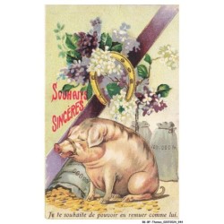 BK-BFP1-0474-ANIMAUX - Cochon - je te souhait de pouvoir en remuer comme lui - fleur - fer a cheval