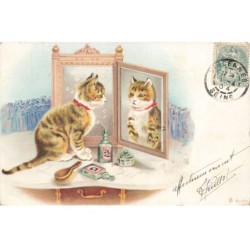 CHAT -FG58750 BEAU CHAT TIGRE SUR UNE COIFFEUSE S ADMIRANT DANS UN MIROIR PARFUM