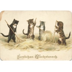 CHAT -FG62357 GROUPE DE CHATS A LA MOISSON AGRICULTURE HERZLICHEN GLUCKWUNSCH 1892
