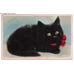 BY-BFP2-1086-CHAT - PORTRAIT DE CHAT NOIR