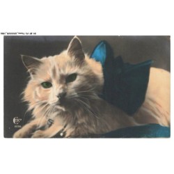 BY-BFP2-1079-CHAT - PORTRAIT DE CHAT DE PERSE