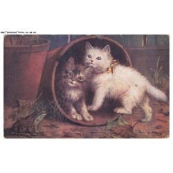 BY-BFP2-1080-CHAT - CHATONS A L'INTERIEURE D'UN POT