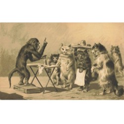 SINGE -FG56653 UN SINGE VEND DES PRODUITS MENAGER A PLUSIEURS CHATS