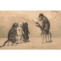 SINGE -FG56652 UN SINGE FAIT LA LECTURE A 3 BEAUX CHATS