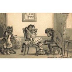 SINGE -FG56654 UN SINGE FAIT LA PEDICURE A UNE JOLIE CHATTE A EVENTAIL CHAT
