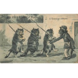 SINGE -FG56655 UN SINGE DIRIGE UN GROUPE DE CHATS A L EXERCICE MILITAIRE