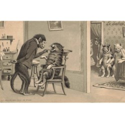 SINGE -FG56650 GROUPE DE CHATS CHEZ LE DENTISTE