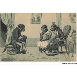 AV-BFP2-0798 - ANIMAUX - Singes humanisés - La demande en mariage - Carte Gaufrée