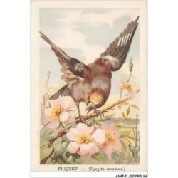 AS-BFP1-0085 - Animaux - Oiseaux - Friquet