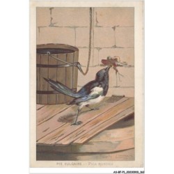AS-BFP1-0082 - Animaux - Oiseaux - Pie vulgaire - pica rustica