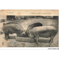 AV-BFP2-0739 - ANIMAUX - Cochons  - En ballade à … on t'attend…