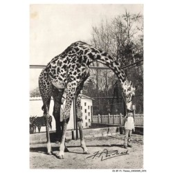 CD-BFP1-1189-ANIMAUX - Jean-pierre richard et la girafe