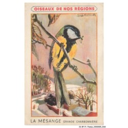 CD-BFP1-1162-ANIMAUX - Oiseaux de nos régions - La mésange