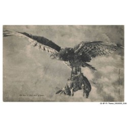 CD-BFP1-1170-ANIMAUX - Roi des alpes - Aigle