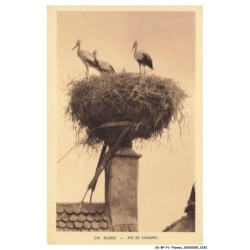 CD-BFP1-1167-ANIMAUX - Nid de cigognes