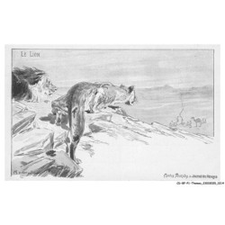 CD-BFP1-1108-ANIMAUX - Le lion