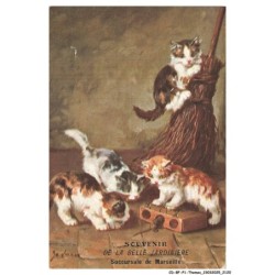 CD-BFP1-1061-CHAT - Souvenir de la belle jardinière