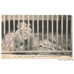CD-BFP1-1115-ANIMAUX - Paris - Jardin des plantes - Lion d'afrique - Don du capitaine boutiq