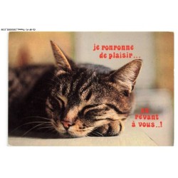 CD-BFP1-1070-CHAT - Je ronronne de plaisir