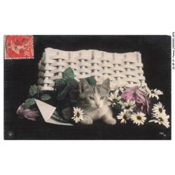 CD-BFP1-1039-CHAT - Chat dans un panier
