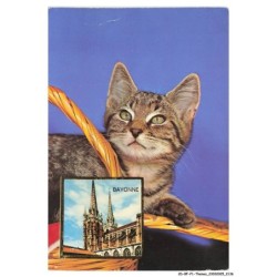 CD-BFP1-1069-CHAT - Bayonne