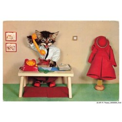 CD-BFP1-1067-CHAT - Chat sécretaire