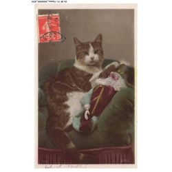 CD-BFP1-1038-CHAT - Chat sur un tapis