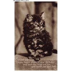 CD-BFP1-1047-CHAT - To wish you